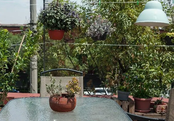 In Condesa * Mexico City
